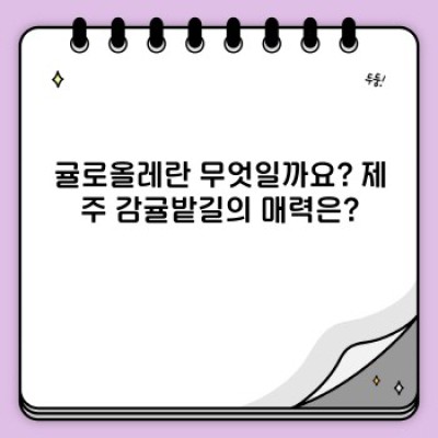 귤로올레 완벽 가이드: 코스, 준비물, 예약, 후기까지! 제주 감귤 향 가득한 올레길 여행