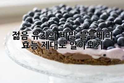 젊음 유지의 비밀? 블루베리 효능 제대로 알아보기!