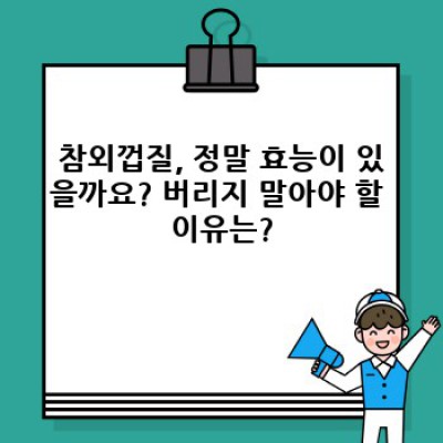 참외껍질 효능: 버리는 게 아까운 보물, 제대로 알고 활용하기