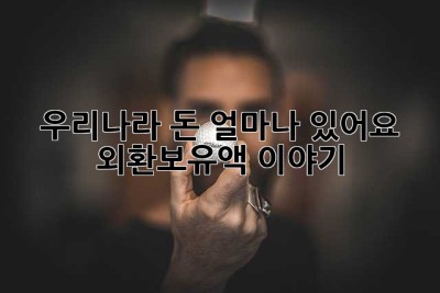 우리나라 돈, 얼마나 있어요? 외환보유액 이야기