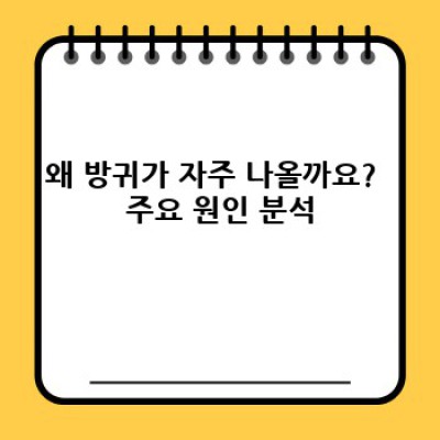 방귀가 자주 나오는 이유: 원인 분석 및 해결 방법 완벽 가이드