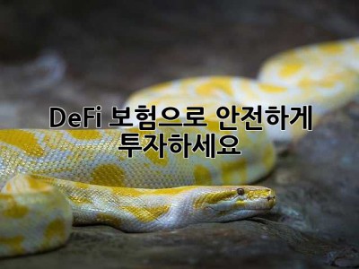 DeFi 보험으로 안전하게 투자하세요!