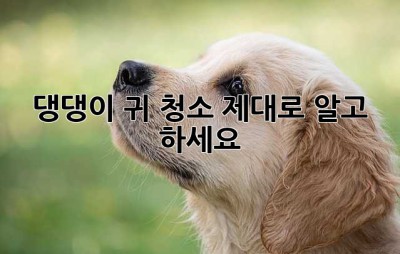 댕댕이 귀 청소, 제대로 알고 하세요!