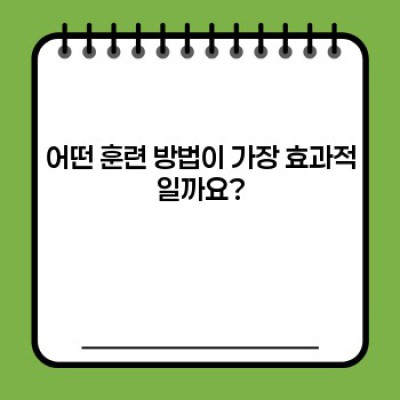 골든리트리버 훈련 완벽 가이드: 똑똑한 훈련법으로 행복한 반려 생활 만들기