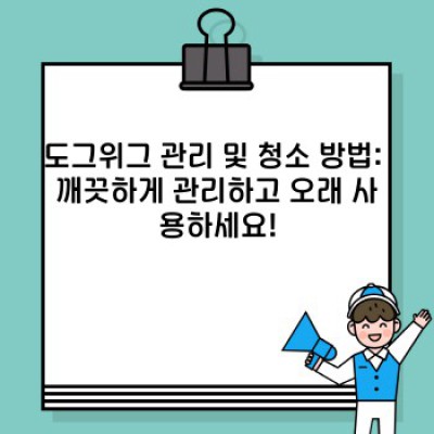 도그위그 완벽 가이드: 선택부터 관리까지, 나에게 딱 맞는 도그위그 찾기!