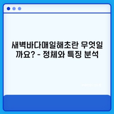 새벽바다매일해초: 효능, 논란, 그리고 진실 – 속속들이 파헤쳐 보는 해조류의 모든 것