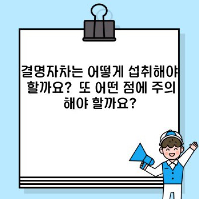 결명자차 효능과 부작용 완벽 가이드: 눈 건강, 혈압, 변비 개선 효과 및 주의사항