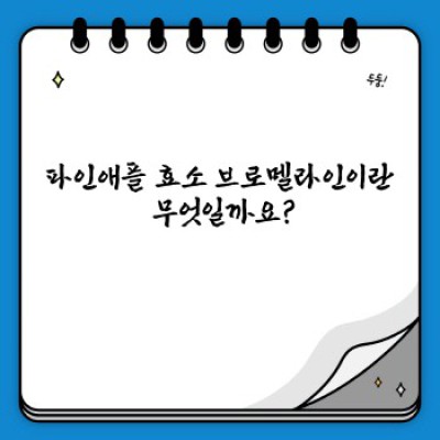 파인애플 효소 브로멜라인 완벽 가이드: 효능, 부작용, 섭취법 총정리