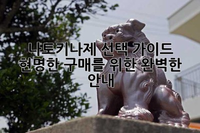 나토키나제 선택 가이드: 현명한 구매를 위한 완벽한 안내