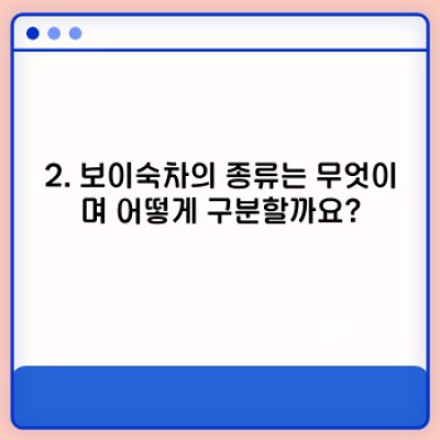보이숙차 완벽 가이드: 효능, 종류, 부작용, 고르는 법까지!