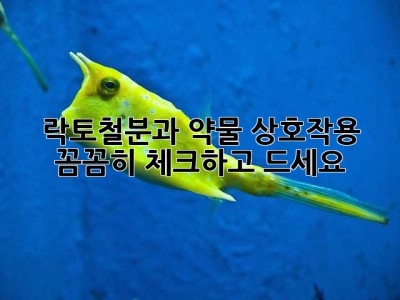 락토철분과 약물 상호작용, 꼼꼼히 체크하고 드세요!