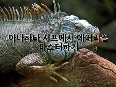 아나하타 서프에서 에어리얼 마스터하기🏄‍♂️