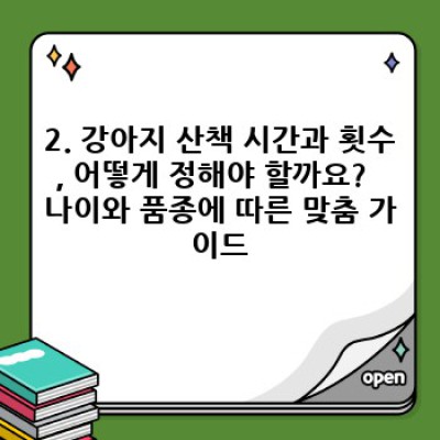 강아지 산책 완벽 가이드: 문제 해결부터 효과적인 산책 방법까지