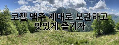 코젤 맥주, 제대로 보관하고 맛있게 즐기자!