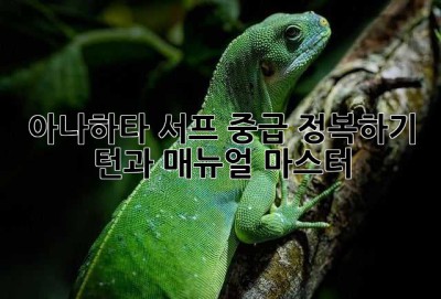 아나하타 서프 중급 정복하기: 턴과 매뉴얼 마스터!