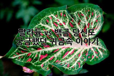 팔라듐 vs 백금: 당신도 궁금했던 귀금속 이야기 ✨