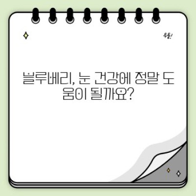 블루베리 효능: 눈 건강부터 혈관 건강까지, 완벽 가이드