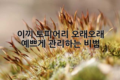 이끼 토피어리, 오래오래 예쁘게 관리하는 비법🌿