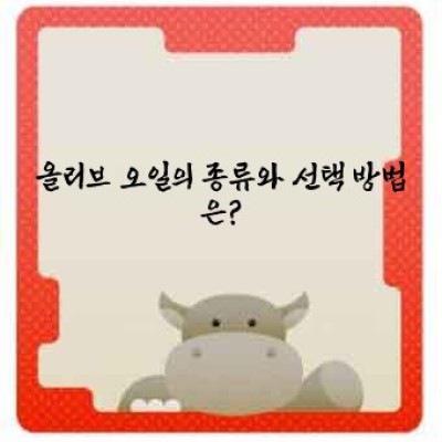 올리브 오일의 모든 것: 건강, 미용, 요리까지 완벽 가이드