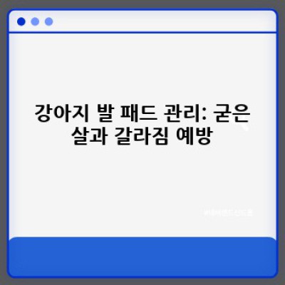 강아지발 관리 요약정보 우선 확인: 건강한 발톱과 발바닥 관리법 완벽 가이드