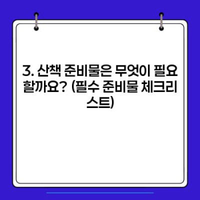 강아지 산책 완벽 가이드: 시간, 장소, 방법, 주의사항 총정리