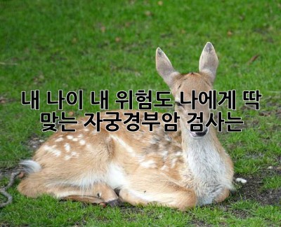 내 나이, 내 위험도, 나에게 딱 맞는 자궁경부암 검사는? 🤔