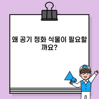 실내 공기 정화는 이제 식물에게 맡겨 보세요! 공기 정화 식물 추천 & 관리 가이드