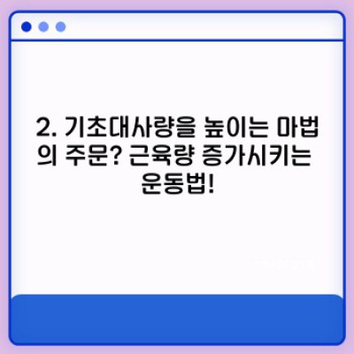 기초대사량 UP! 건강하게 살 빼고 싶다면 꼭 알아야 할 7가지 방법
