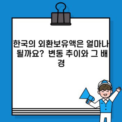 외환보유액 완벽 가이드: 왜 중요하고 어떻게 관리될까요?