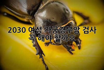 2030 여성, 자궁경부암 검사 꼭 해야 할까요? 🤔