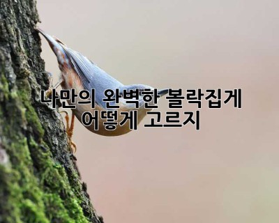 나만의 완벽한 볼락집게, 어떻게 고르지? 🤔