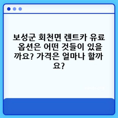 보성군 회천면 렌트카 유료 옵션 완벽 가이드: 렌트카 예약부터 반납까지!