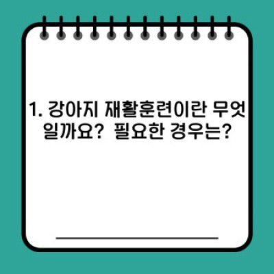 우리 강아지, 재활훈련이 필요할까요? 강아지 재활훈련 A to Z 완벽 가이드