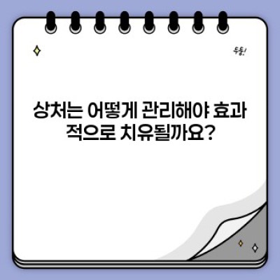 상처치유 완벽 가이드: 종류, 방법, 그리고 성공적인 회복 전략