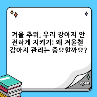 겨울철 강아지 관리: 추위 걱정 없는 행복한 겨울나기
