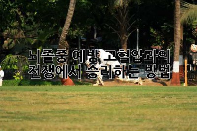 뇌졸중 예방, 고혈압과의 전쟁에서 승리하는 방법