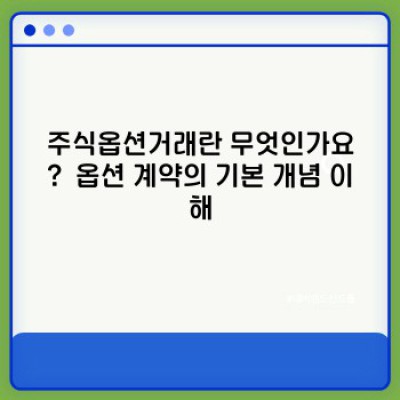 주식옵션거래, 쉽고 빠르게 배우고 성공 확률 높이기: 초보자를 위한 완벽 가이드