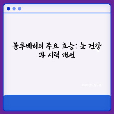 눈 건강부터 항산화까지! 블루베리 효능 완벽 가이드: 궁금증 해결 & 최신 연구 결과