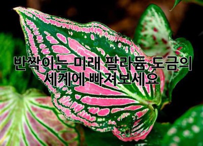 반짝이는 미래, 팔라듐 도금의 세계에 빠져보세요 ✨