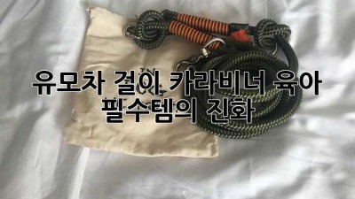 유모차 걸이 카라비너: 육아 필수템의 진화