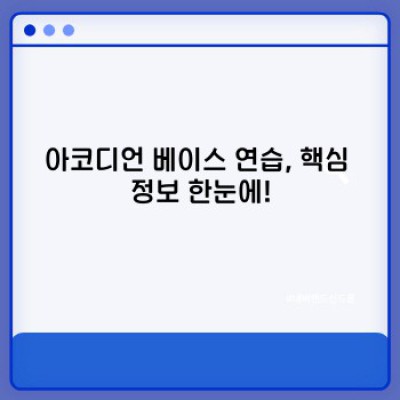 아코디언 베이스 연습: 초보부터 숙련자까지, 효과적인 연습법 완벽 가이드