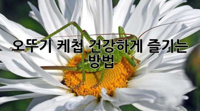 오뚜기 케첩: 건강하게 즐기는 방법