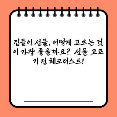 집들이 선물 완벽 가이드: 센스 있는 선택부터 마음까지 전하는 방법까지!