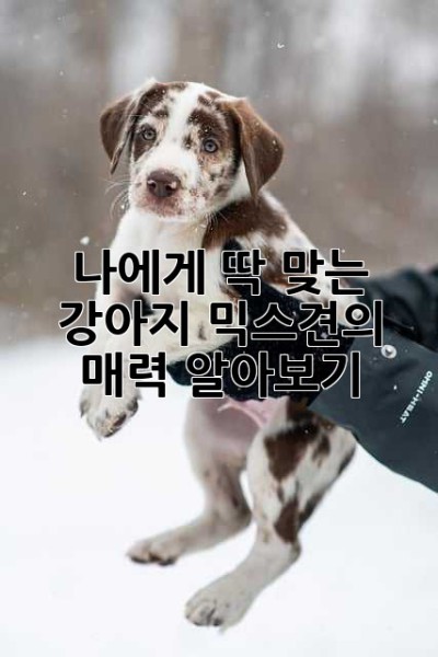 나에게 딱 맞는 강아지, 믹스견의 매력 알아보기!