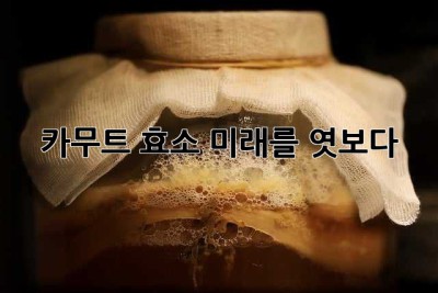 카무트 효소, 미래를 엿보다! ✨