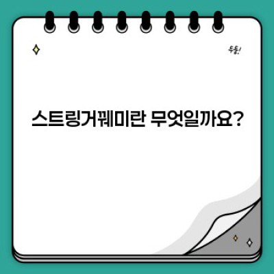 스트링거꿰미 완벽 가이드: 종류, 사용법, 관리법까지!