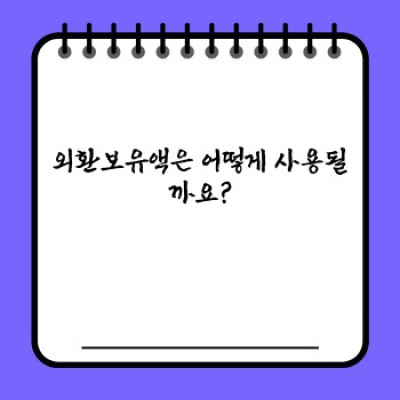 외환보유액 핵심 포인트 요약: 국가 경제 안전판의 모든 것