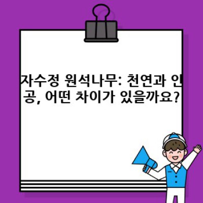 자수정 원석나무: 아름다움과 신비, 그리고 실용적인 활용법 완벽 가이드
