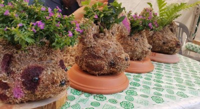 이끼 토피어리 만들기: 자연의 미니 정원을 집안에