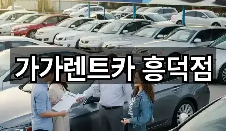 네비 연동 | 충청북도 강서동 렌트카 5곳